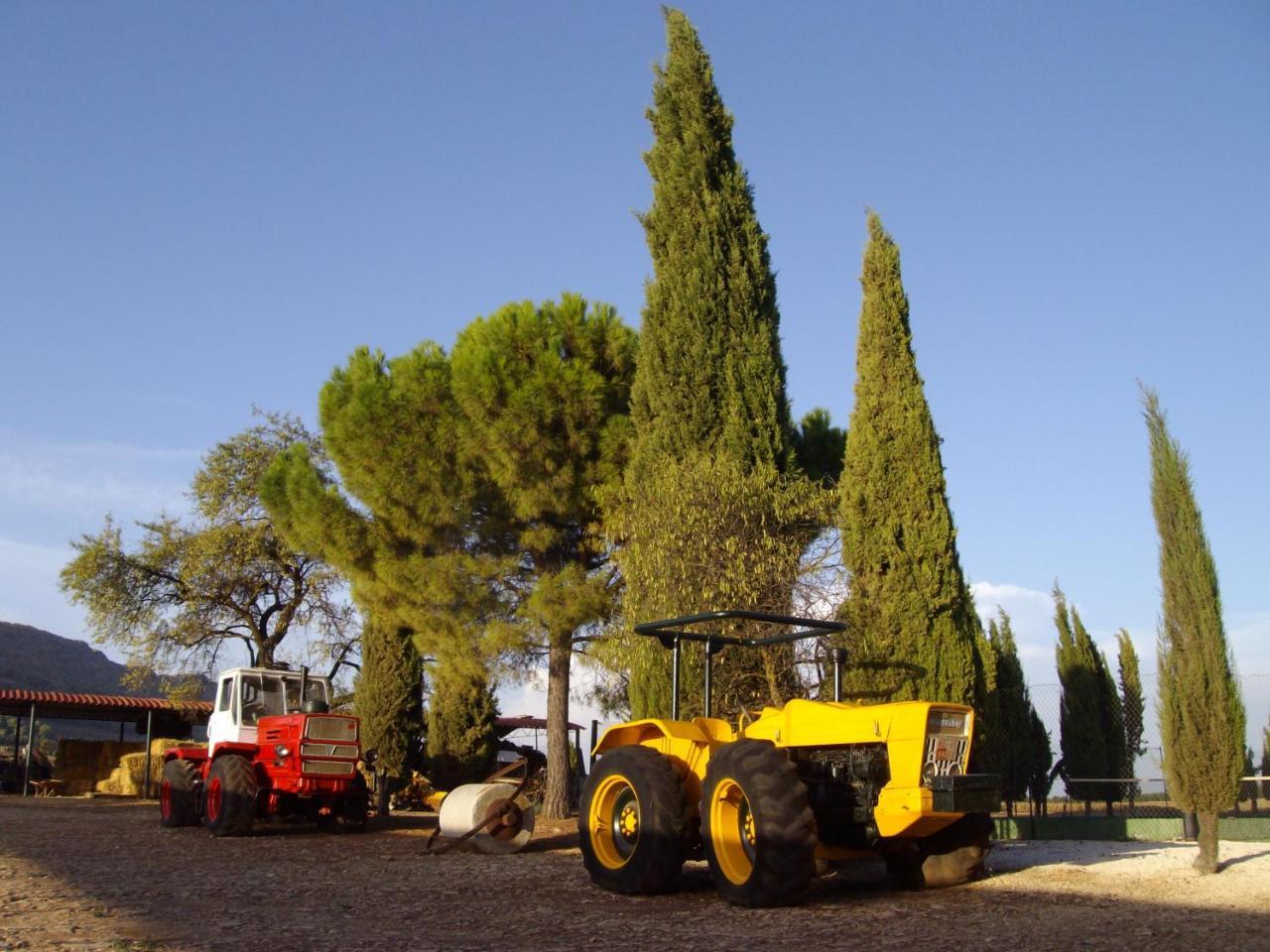 Cortijo Ferradores Humilladero エクステリア 写真