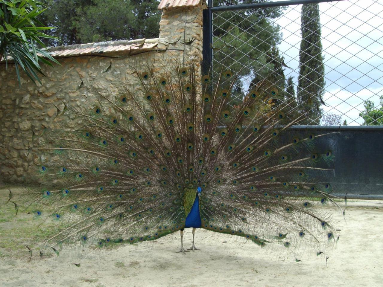 Cortijo Ferradores Humilladero エクステリア 写真