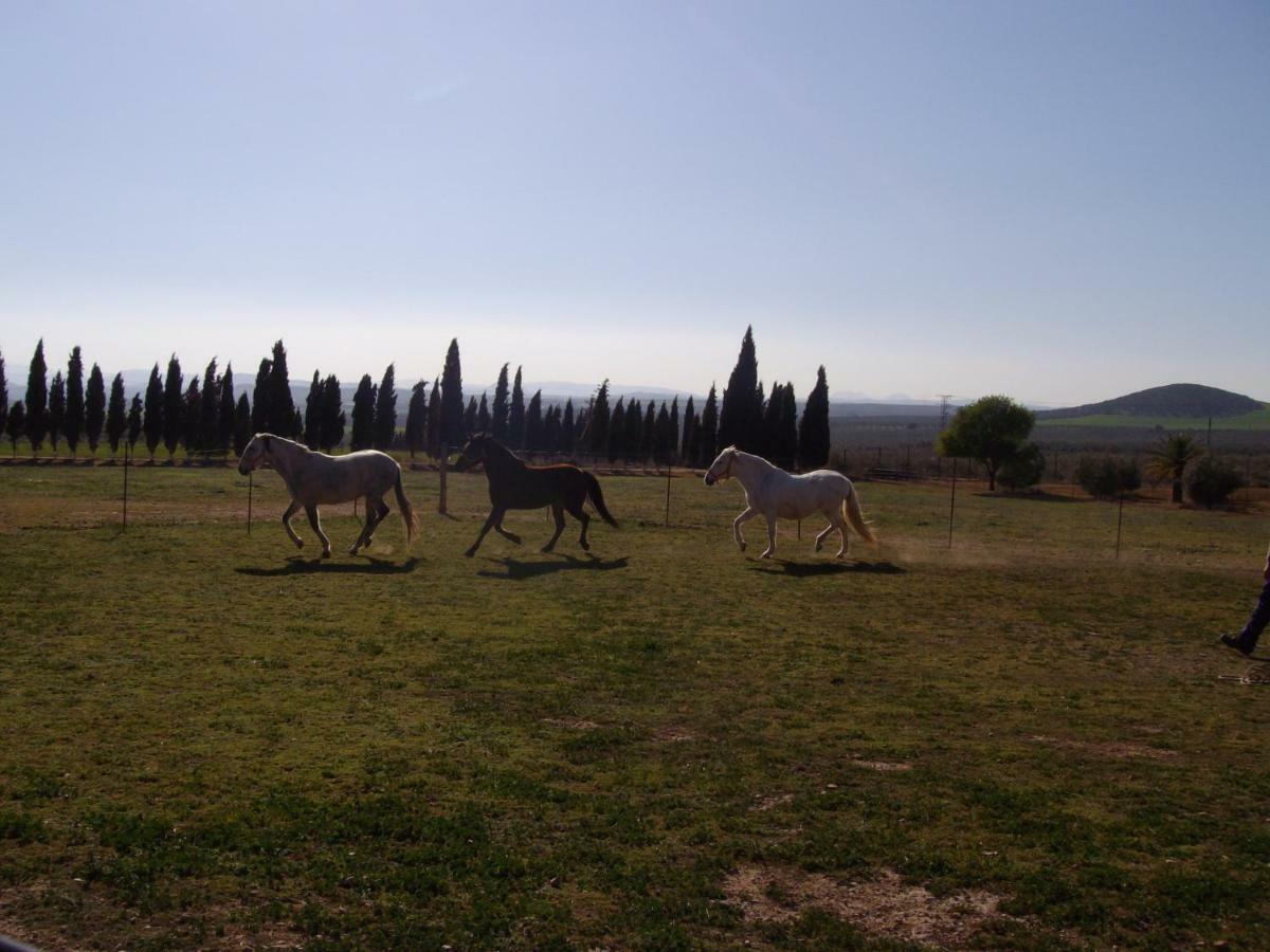 Cortijo Ferradores Humilladero エクステリア 写真