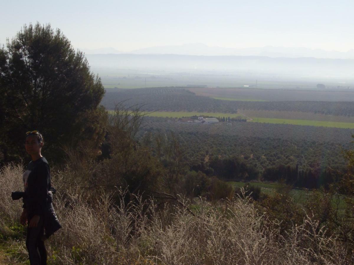 Cortijo Ferradores Humilladero エクステリア 写真