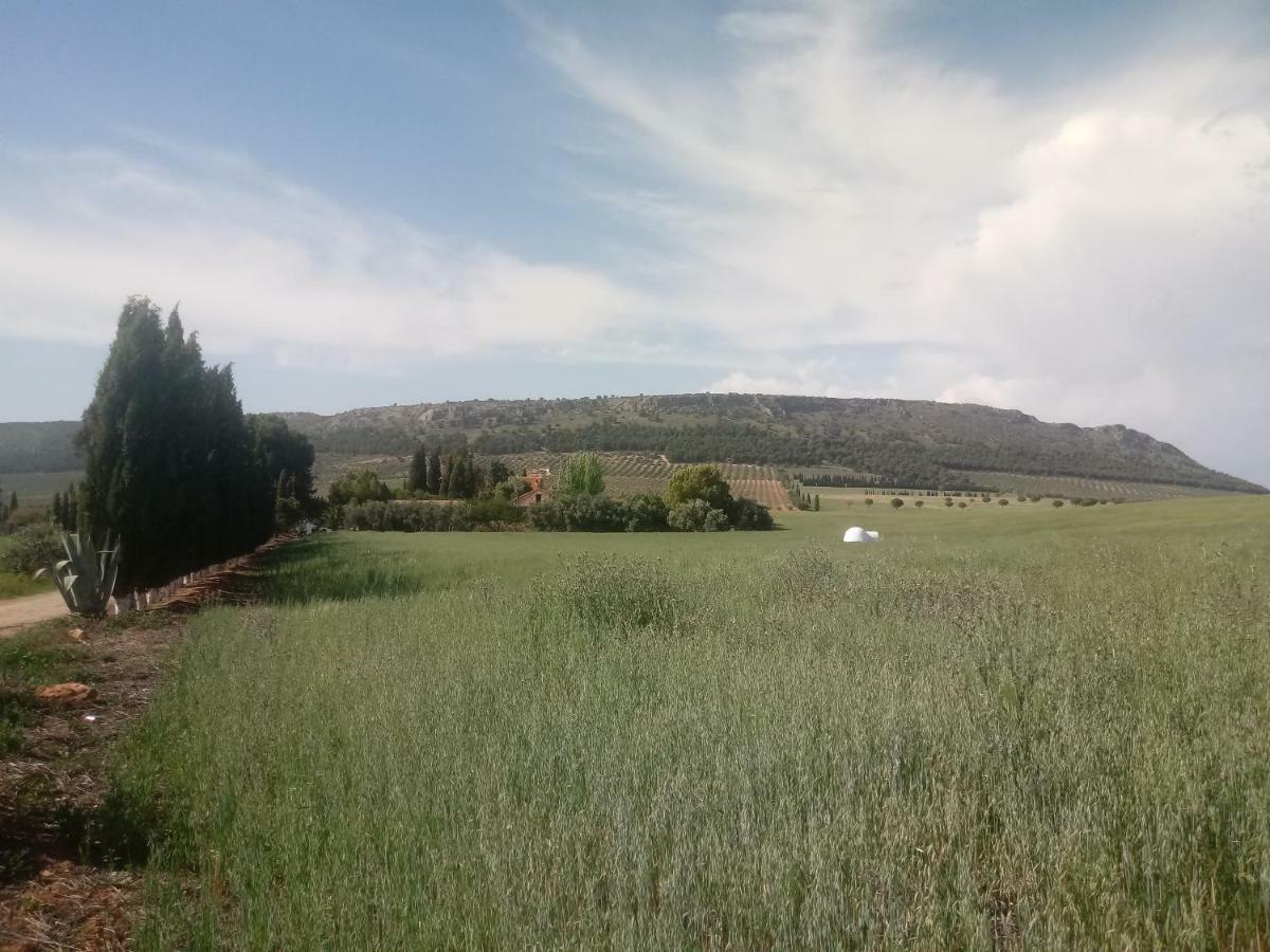 Cortijo Ferradores Humilladero エクステリア 写真